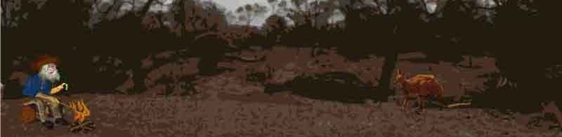Bushland Australia